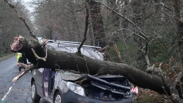 A van crushed in East Sussex