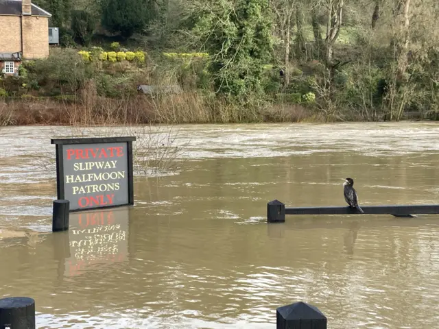 The flooded car park at the Half Moon Inn