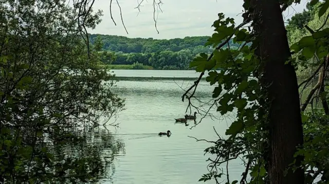 Colwick Country Park