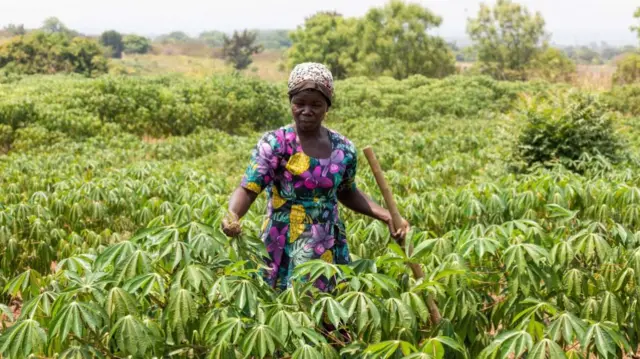 Ugandan Ojwiga Grace, who was compensated with land and cassava stems by TotalEnergies for her farmland.