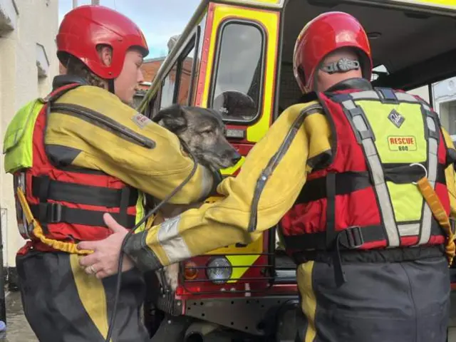 Two rescuers holding a dog and getting into the back of a vehicle