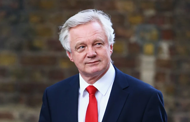 David Davis walks up Downing Street