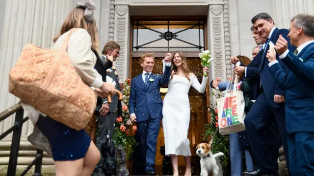 Bride and groom Linnea and Alexander are greeted by their guests as they descend the steps with dog Pedro