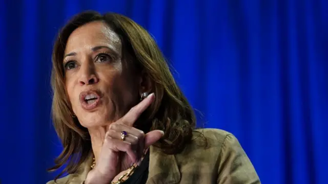 Vice-President Kamala Harris (file pic)