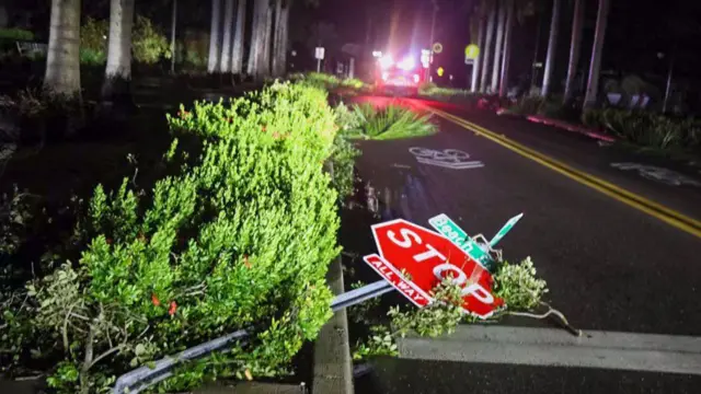 A stop sign blown to the ground, a piece of bush is partially covering the sign.