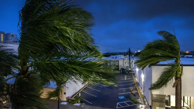 Palm trees are blown by the wind in Sarasota, Florida