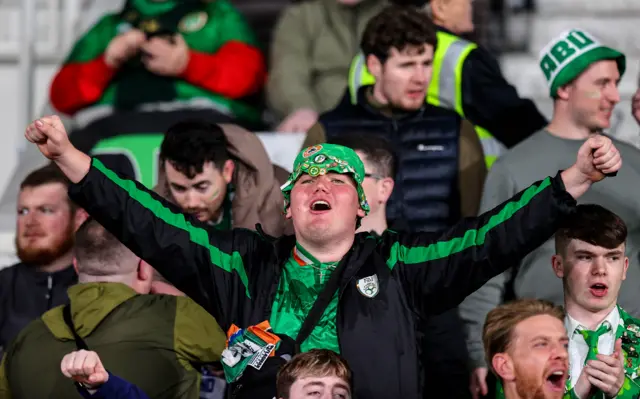 Irish fan in the stadium