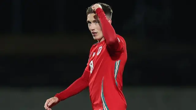 Harry Wilson celebrates