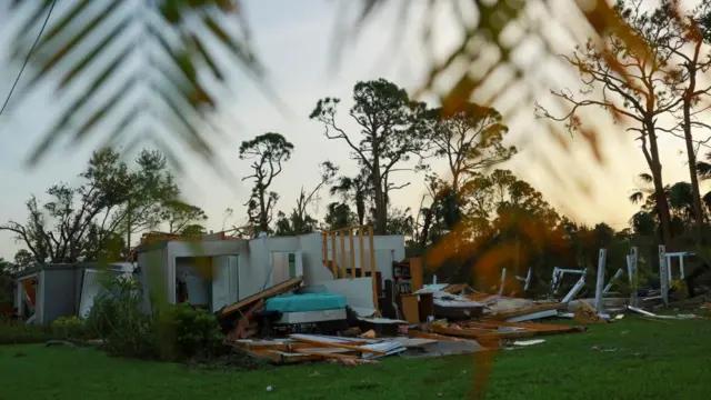 The remains of a property are seen through palm fronds in Florida. Debris is scattered across the lawn