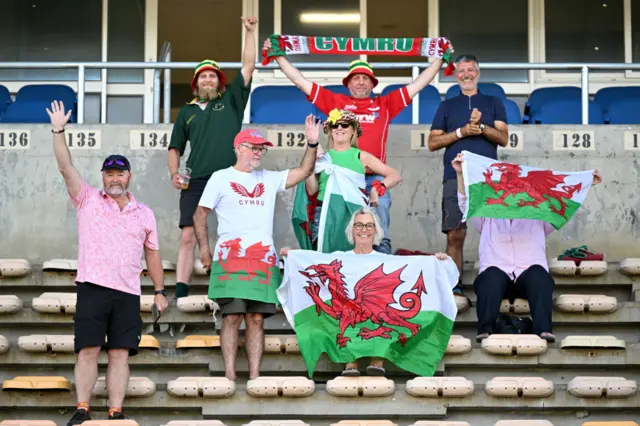 Wales fans in Cape Town