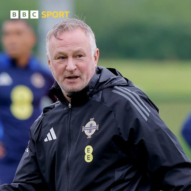 Northern Ireland manager Michael O'Neill