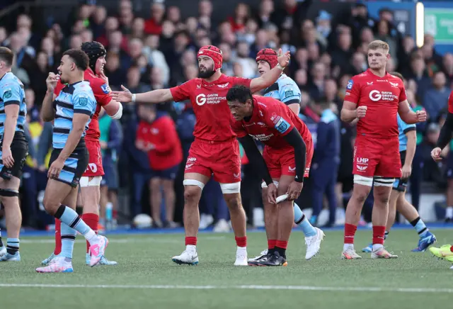 Josh Macleod leads Scarlets' celebrations