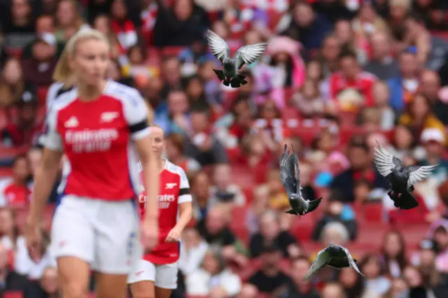 Pigeons soar onto the pitch