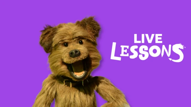 Hacker T Dog with live Lessons logo against a purple background