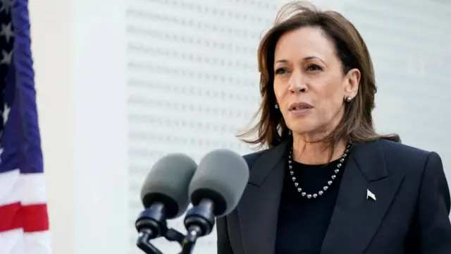 Kamala Harris stands by a microphone, the US flag just in shot on the left.