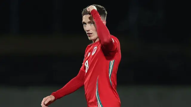 Harry Wilson celebrates in Iceland