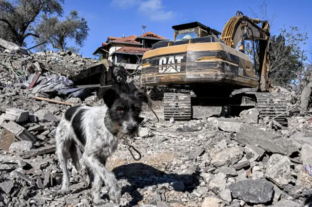 A dog walks through the debris in front of an excavator