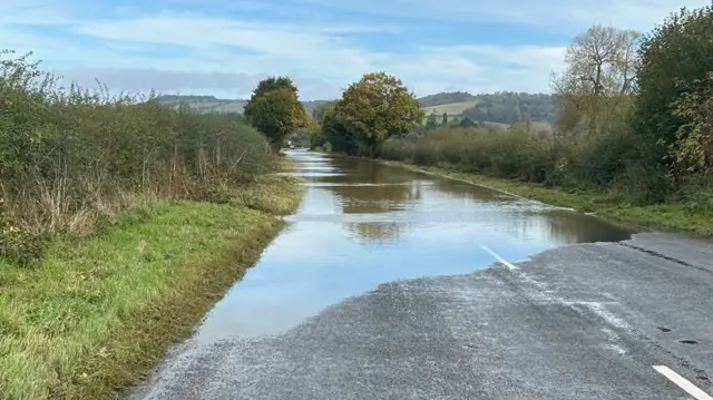 A flooded road with bushes on either side