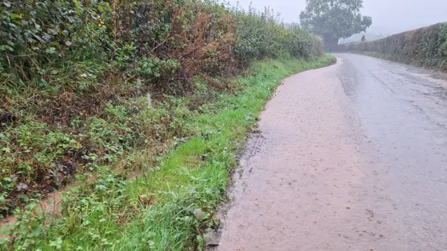 A sodden grass verge and flooded road with hedges either side and a tree in the background. Heavy rain is splashing on the ground.