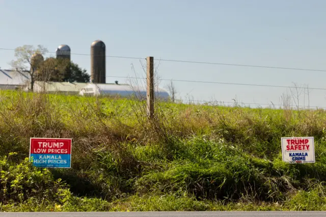 Trump Signs in Lancaster County