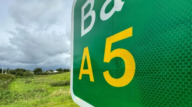 Grey sky with clouds, green trees in the distance and a field with shurbs in the background of a large green road sign which says 'A5' in yellow writing with writing cut off the top 'Ba'.