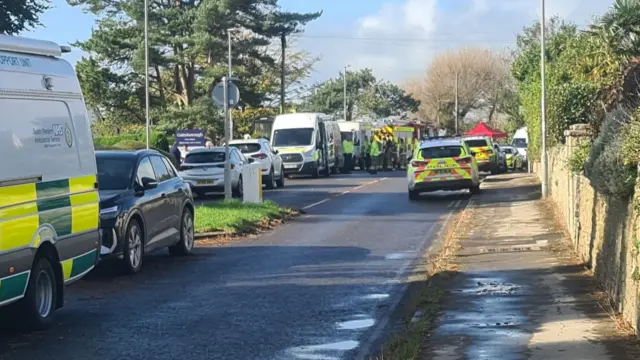 A residential road shows ambulance vehicles and police lining either sides of the road