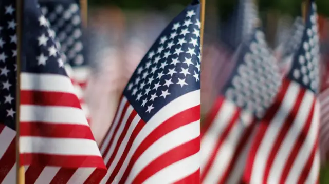 Selection of flags planted in Boston, May 2024