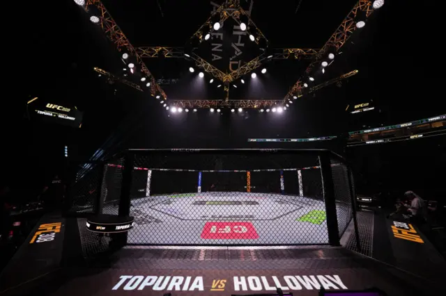 The UFC 308 cage