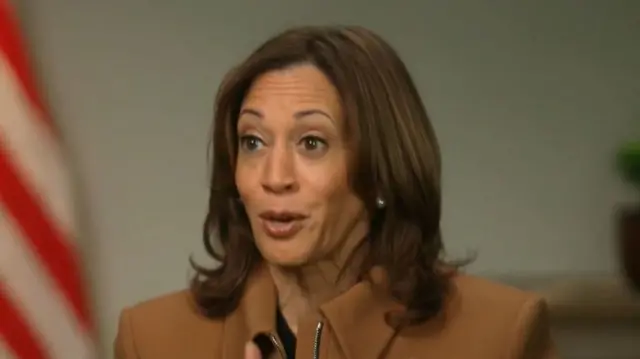 Kamala Harris gives interview sitting down. Mid-shot cuts off just off the shoulders, she's wearing a tan jacket and her hair down. A blurry US flag is visible to her right