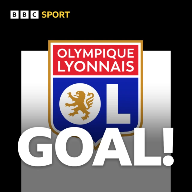 Lyon goal