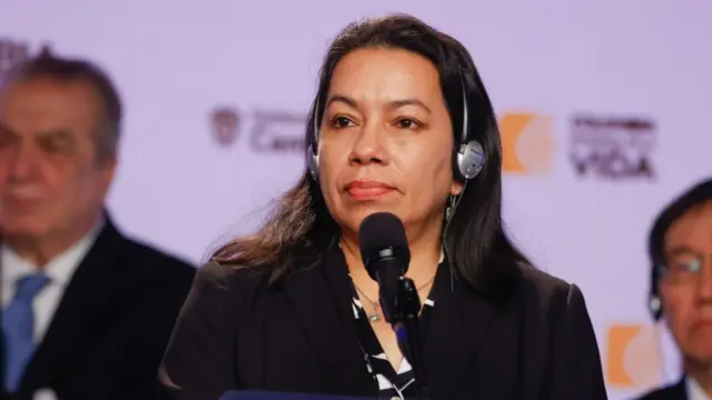 Carolyn Rodrigues-Birkett, Permanent Representative of Guyana, speaks at the United Nations Security Council