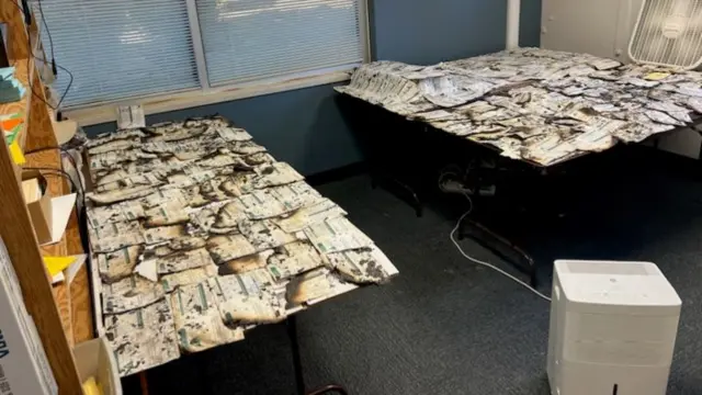 A picture of the salvaged ballots in Clark County