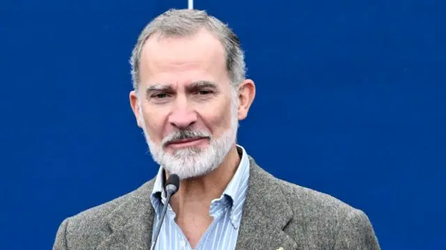 King Felipe speaks into a microphone in front of a blue background (file image)