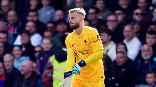 iverpool goalkeeper Vitezslav Jaros comes on during the Premier League match at Selhurst Park, London.