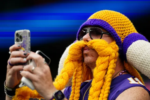 Vikings fan