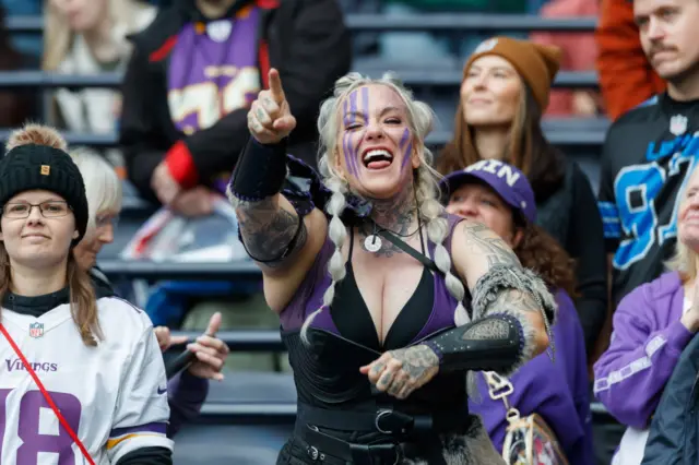 Vikings fan