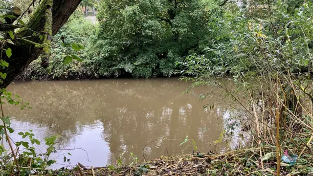 Stretch of muddy looking water surrounded by trees and overhanging bushes