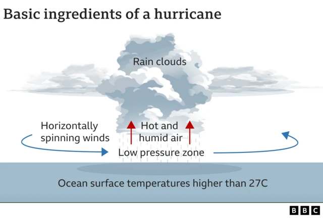 Graphic explaining conditions necessary for the generation of a hurricane