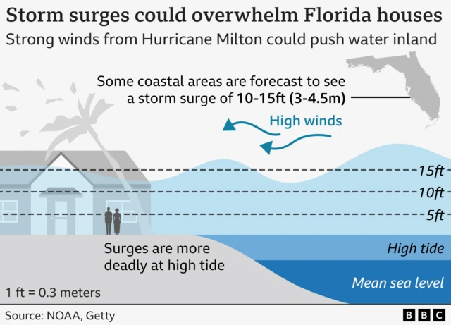 A graphic showing how high the storm surge will be from Hurricane Milton compared to the average height of a person, houses and trees on the coast.