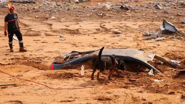 A dog sniffs a car submerged in thick mud