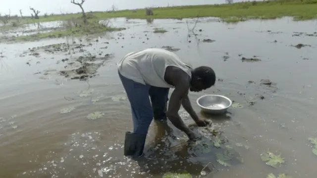 Sunday, wearing wellington boots, bending over with his hands in the water, harvesting water lily roots to eat, near Bentiu, South Sudan