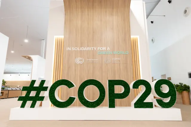 COP29 sign in green against brown background