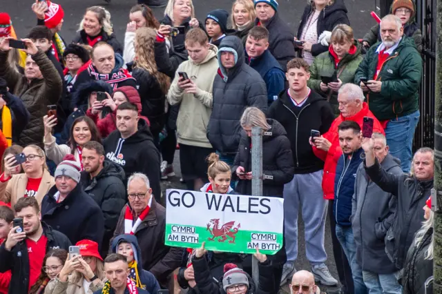 Wales fans