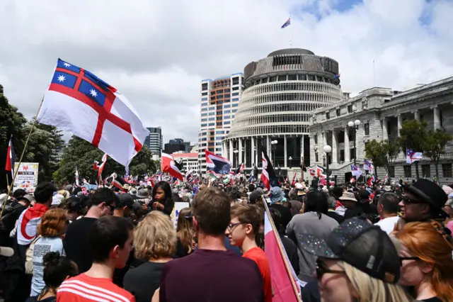 Hīkoi members congregate at Parliament