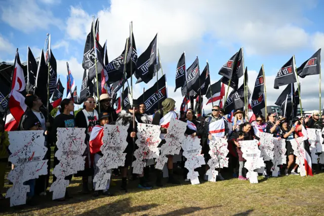 A line of people all holding up flags and signs that say toiti te tirit