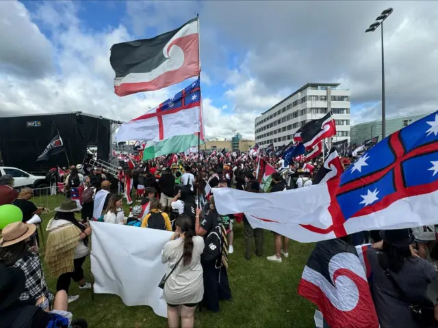 People gather ahead of a march to the parliament in protest of the Treaty Principles Bill