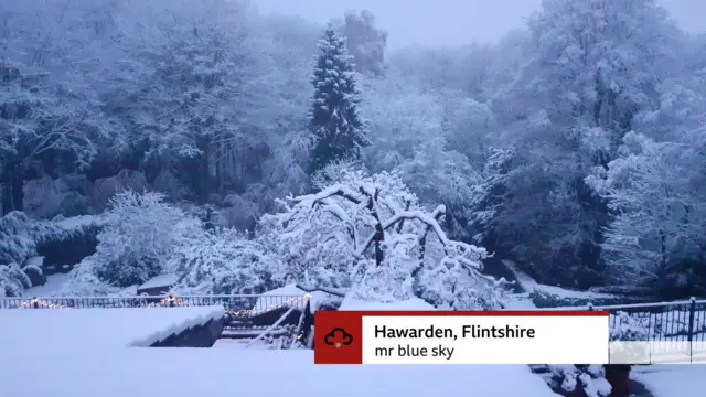 A photo showing trees covered in snow in Hawarden, Flintshire.