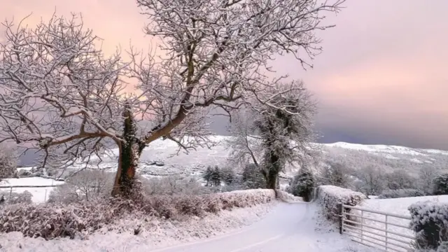 Snow covered parts of north-east Wales overnight, including this farm at Llanfair-Dyffryn-Clwyd, Denbighshire