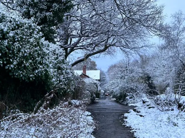 A snowy scene with a path winding through snow-covered trees past a house in Bolton