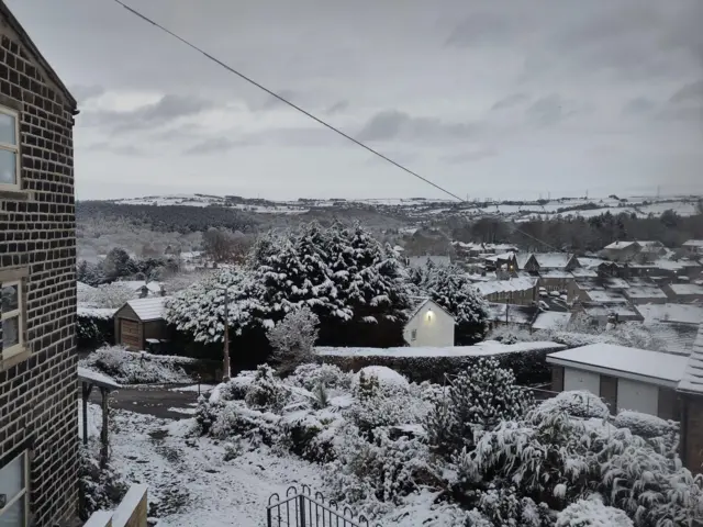 Snowy Bingley